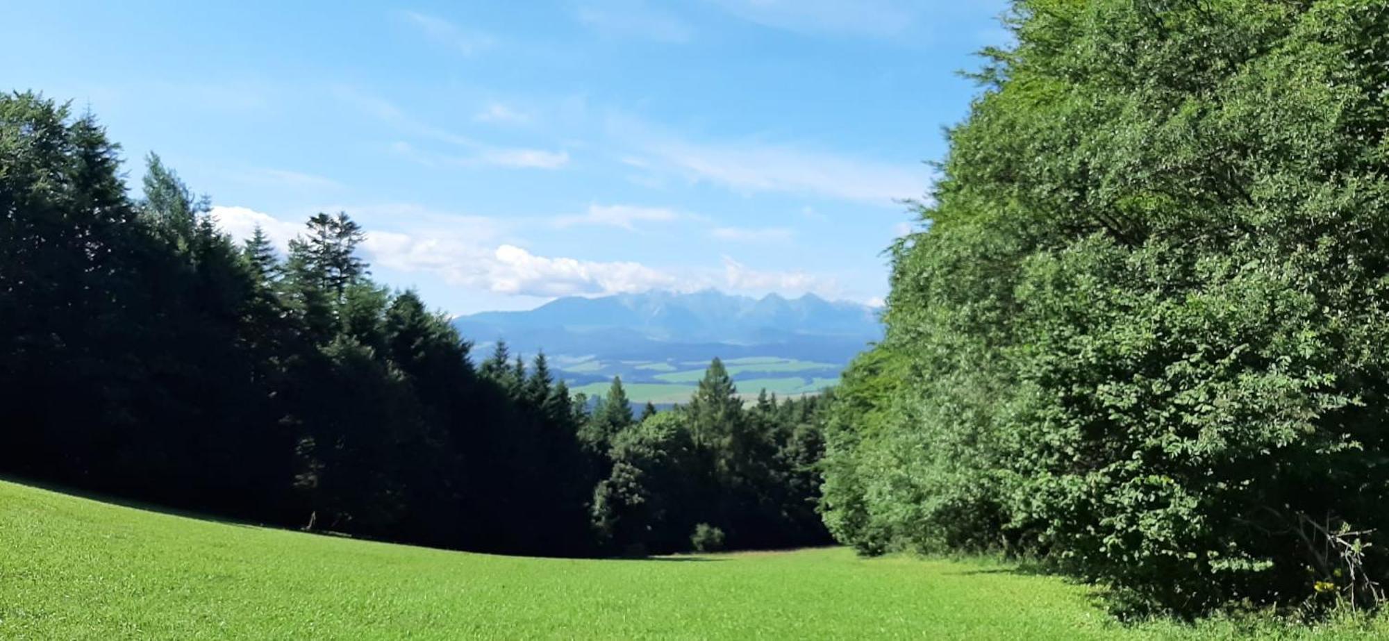 Szczytowisko Villa Grywald Exteriör bild