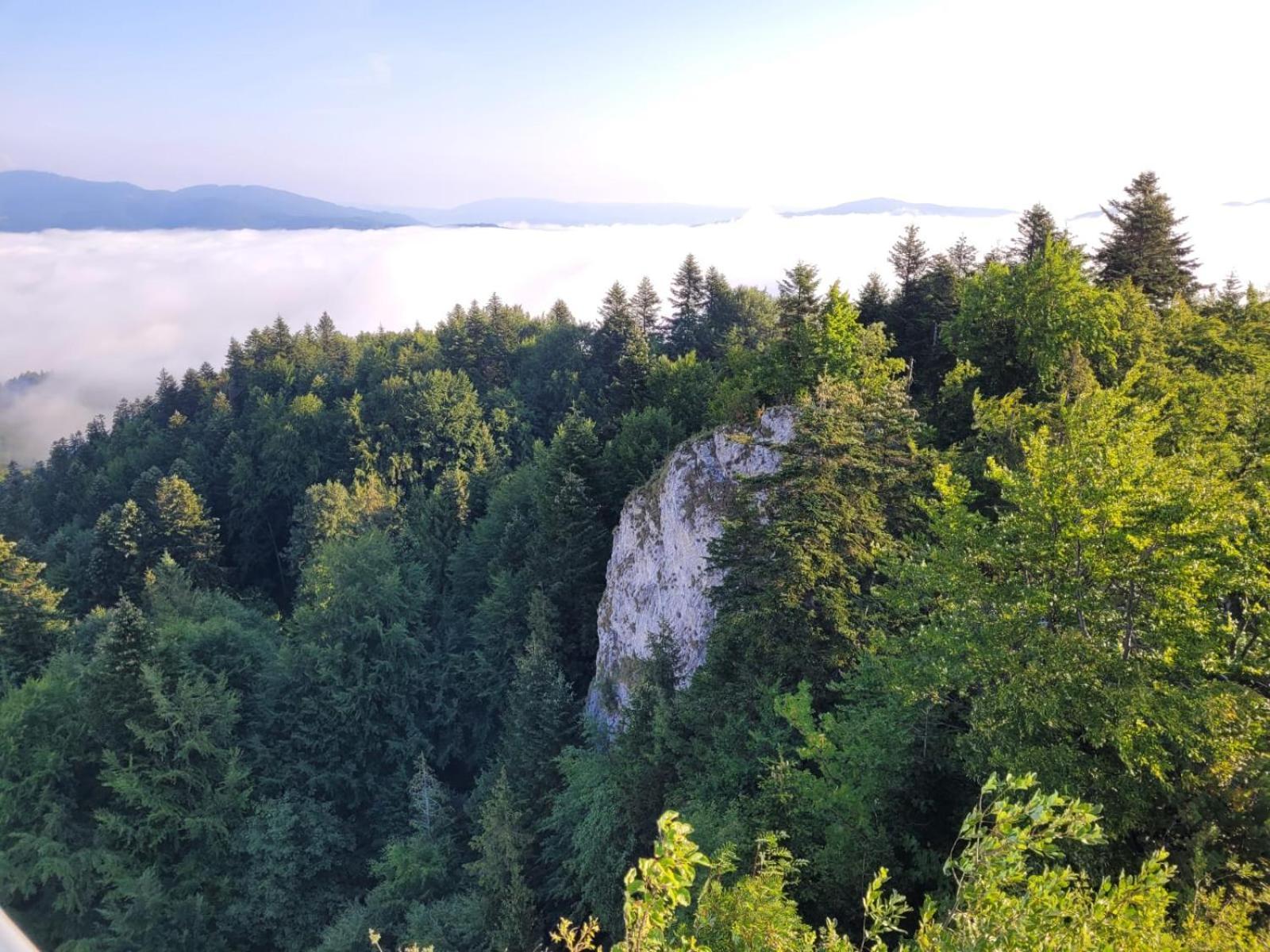 Szczytowisko Villa Grywald Exteriör bild